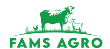 Merchant Logo